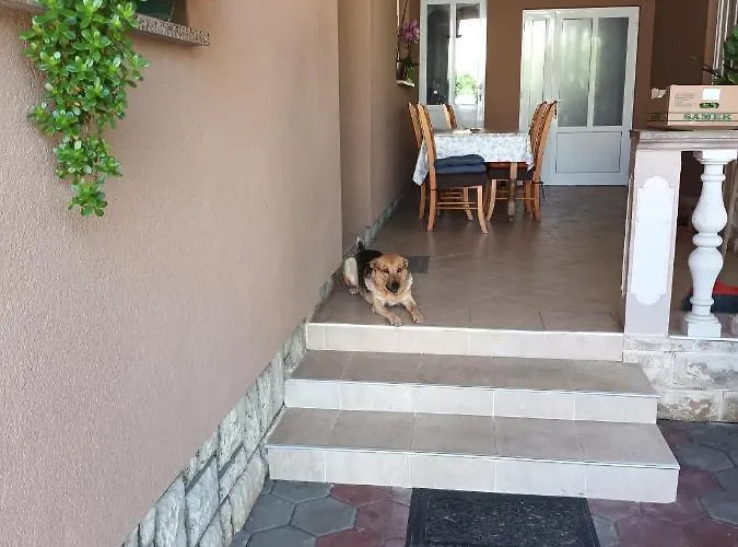 With Parking Space Bibinje, Zadar - 21624 Апартаменты Бибинье